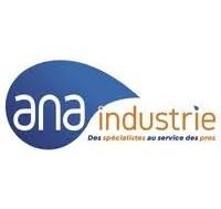 logo ana industrie